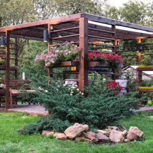 Беседка Концепт 4